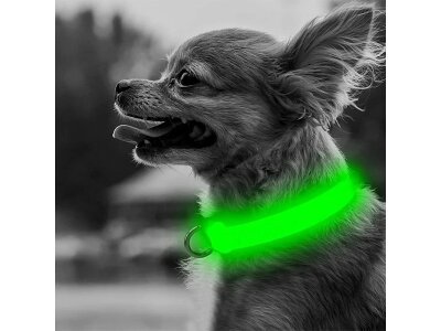 Svetleča pasja ovratnica, zelena XS