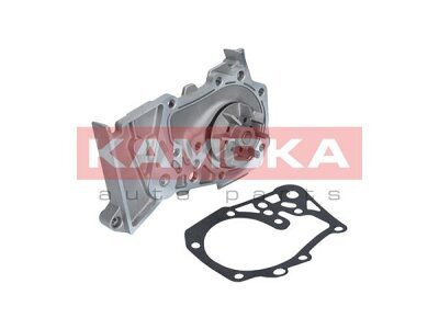 Vodna črpalka T0102 - Dacia Duster 10-